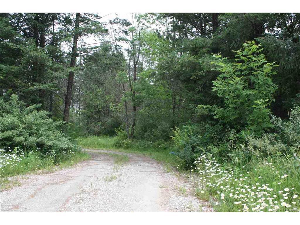 0 36 MILE RD - Photo 1