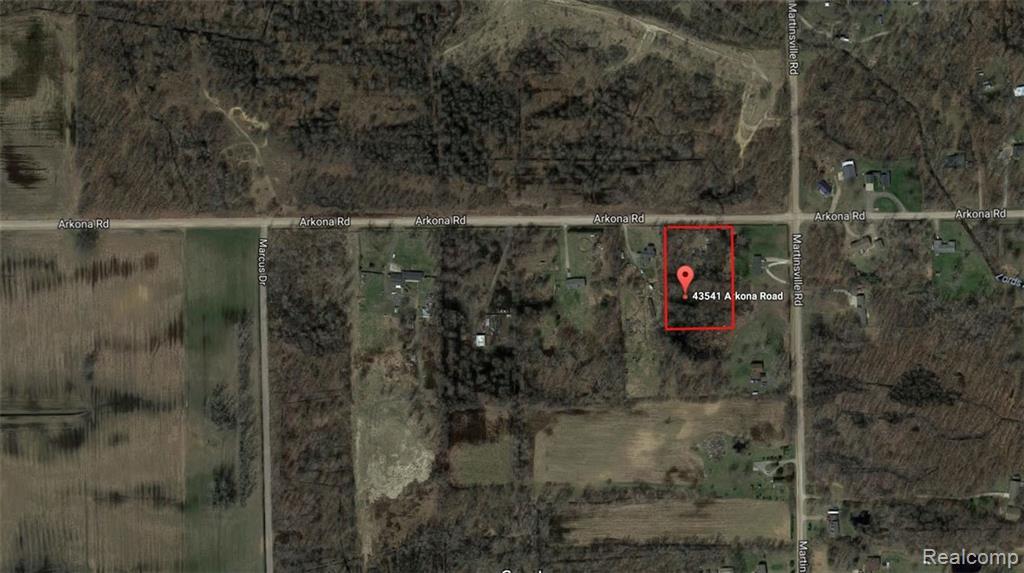 43541 Arkona Road - Photo 1