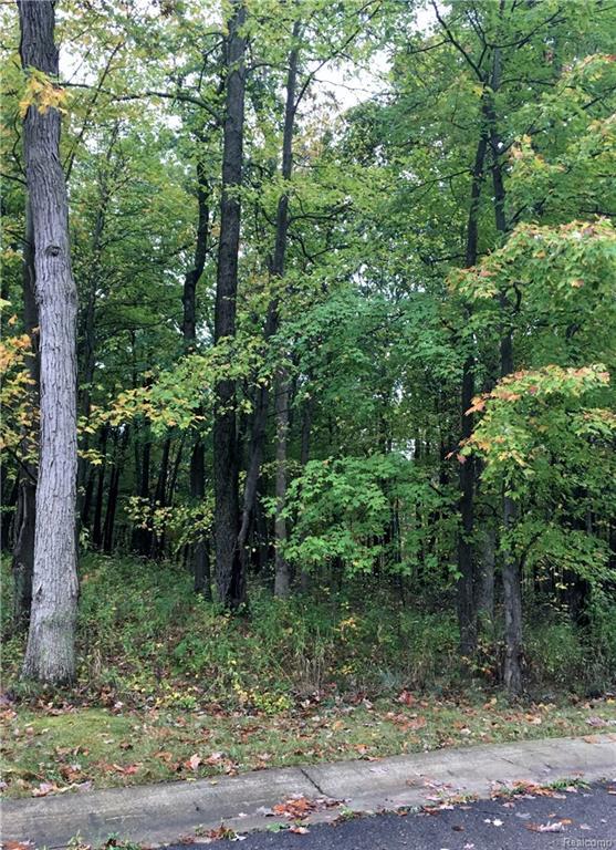 Unit 33 Elk Run Parkway - Photo 1