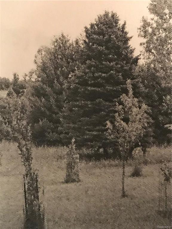 0 33 MILE RD - Photo 1