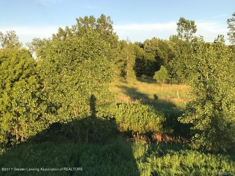 21585 Burt Road - Photo 1
