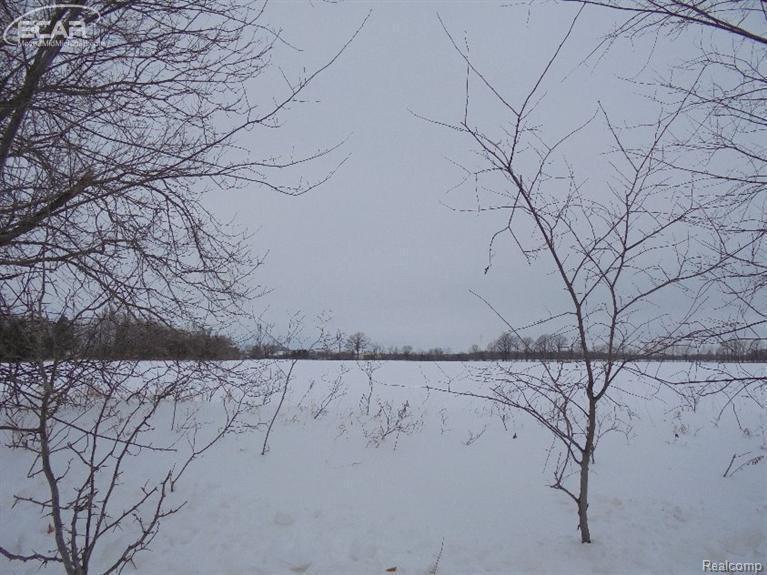 LOT C Elms Road - Photo 1