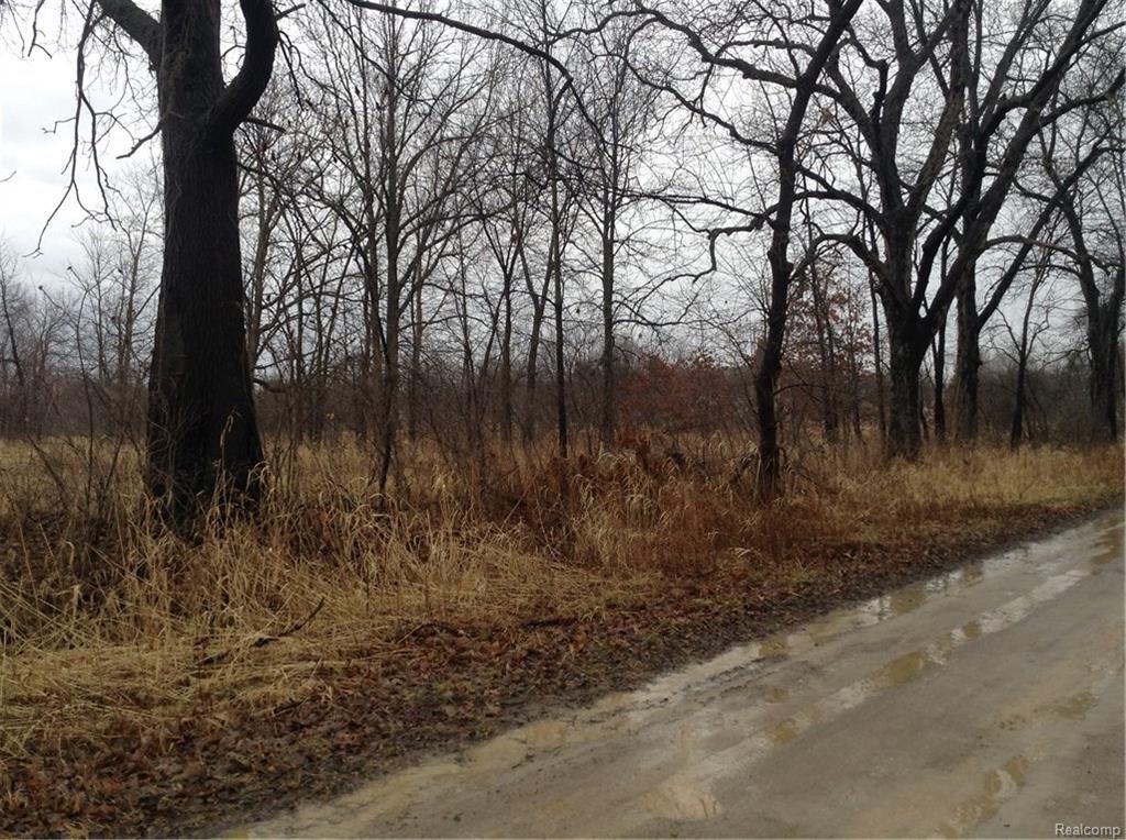 15000 Winter Road - Photo 1