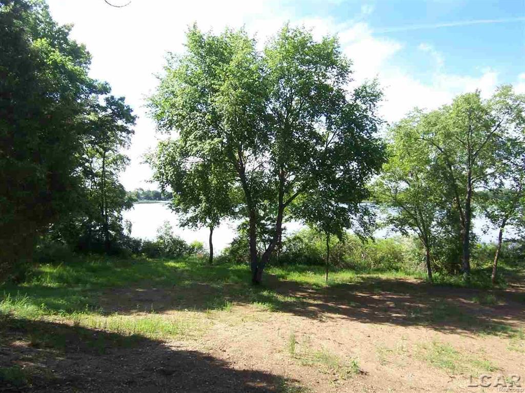 Cedar Glen - Photo 1