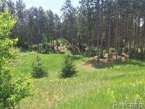 4635 Panorama Drive - Photo 1