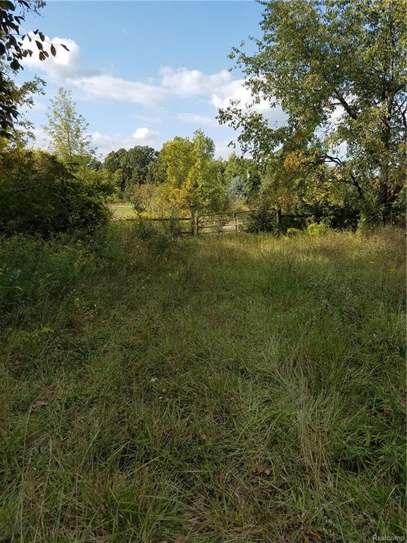 2670 Auten Road - Photo 1