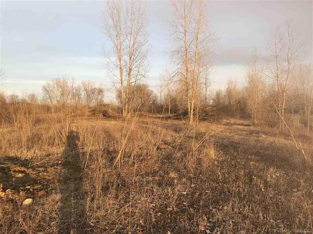 73121 Omo Rd - Photo 1