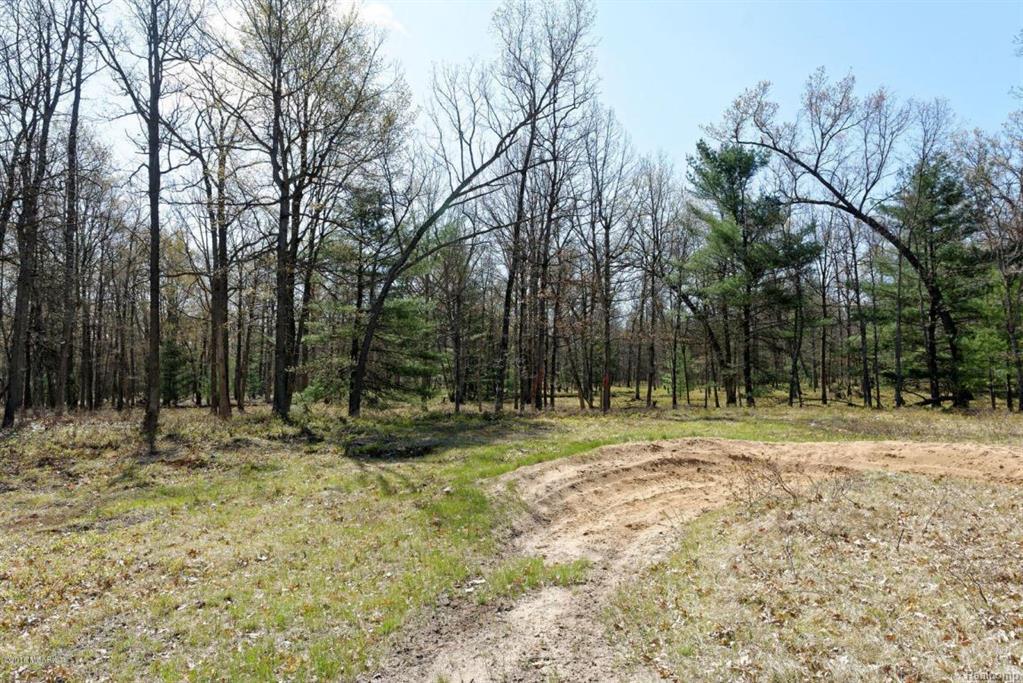 Star Acres Dr - Photo 1