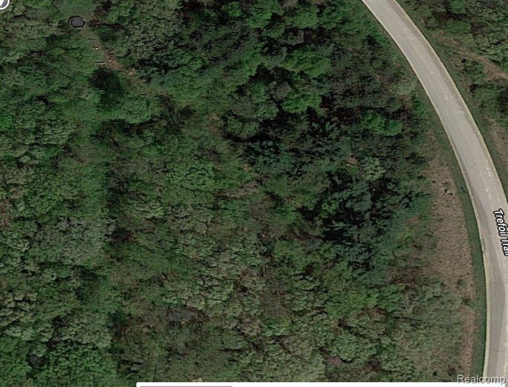 000 Trefoil Trail - Photo 1