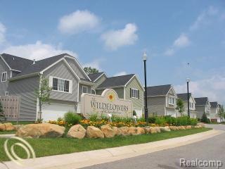 70 Sunflower Circle - Photo 1