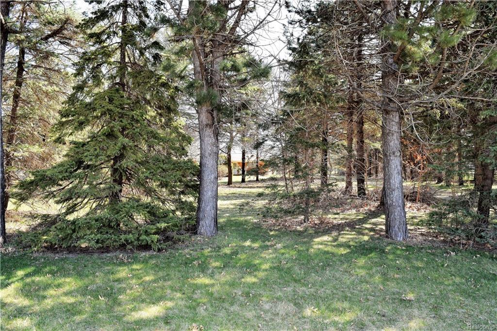 63900 Mound Road - Photo 1