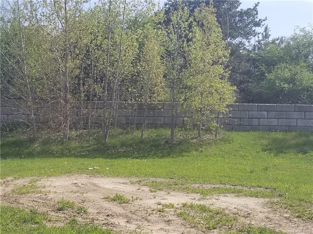 4556 Sunflower Circle - Photo 1