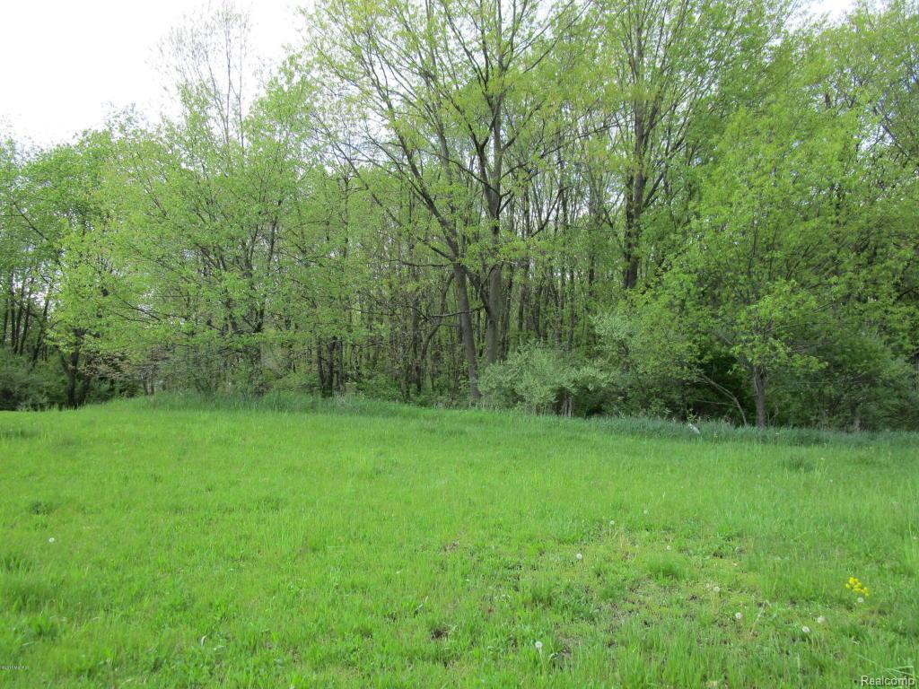 35 Arapaho Trl - Photo 1
