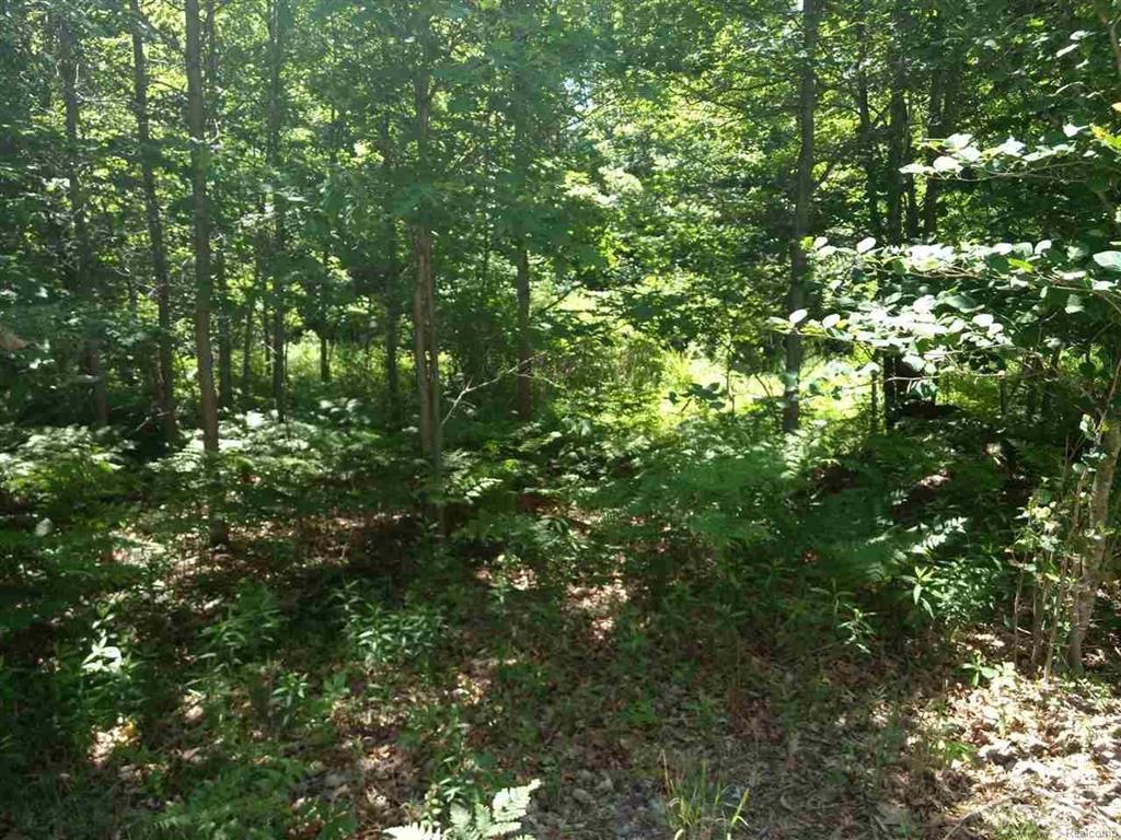 1242 Rapid View - Photo 1