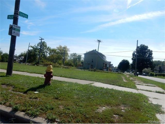 13100 Mack Avenue - Photo 1