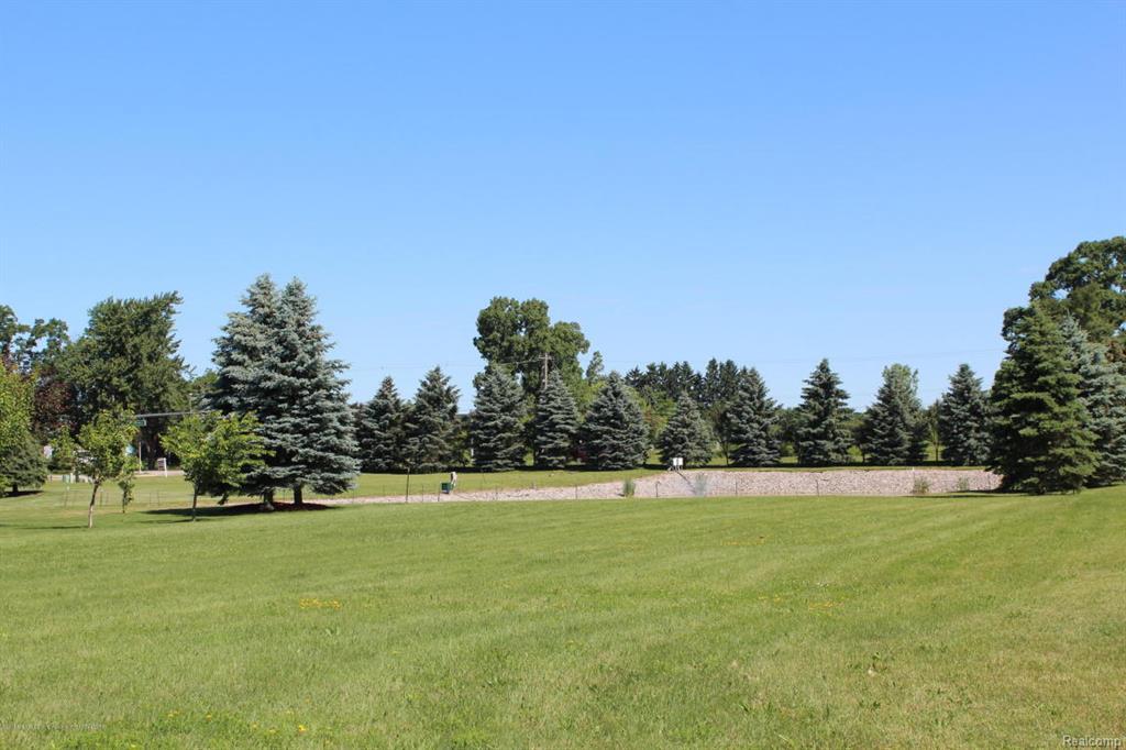 8212 Amaryllis Way - Photo 1