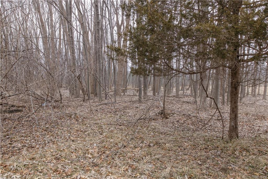 0 Blaine Road - Photo 1