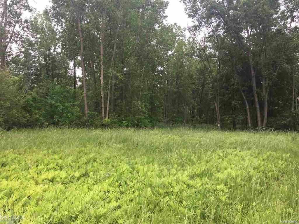 23834 Hagen - Photo 1