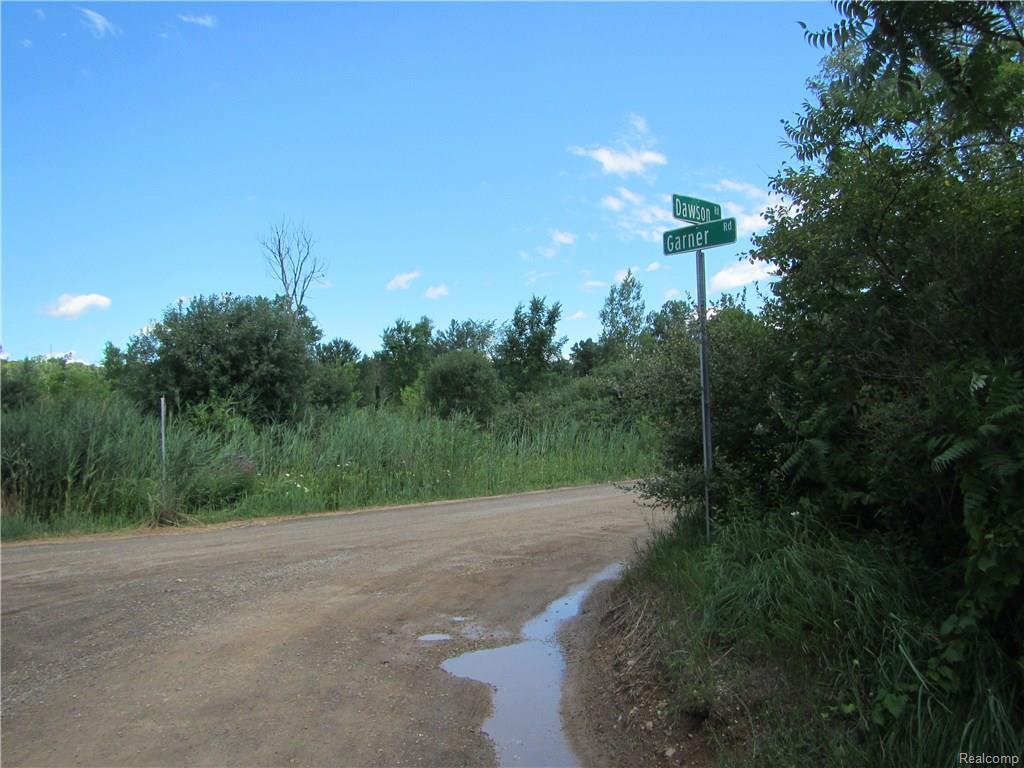 000 S. Garner And W. Dawson Road - Photo 1