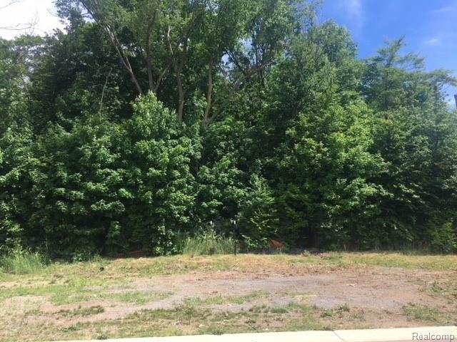 48810 Castello Court - Photo 1