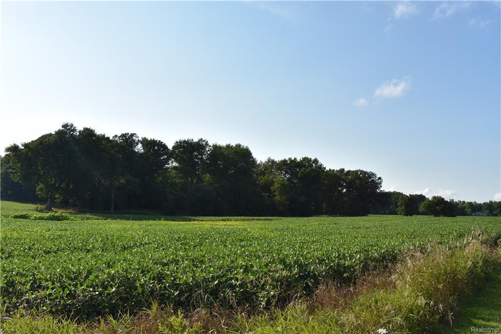 V/L Farnsworth Road - Photo 1