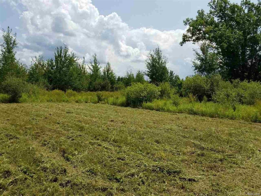 Hill - Photo 1
