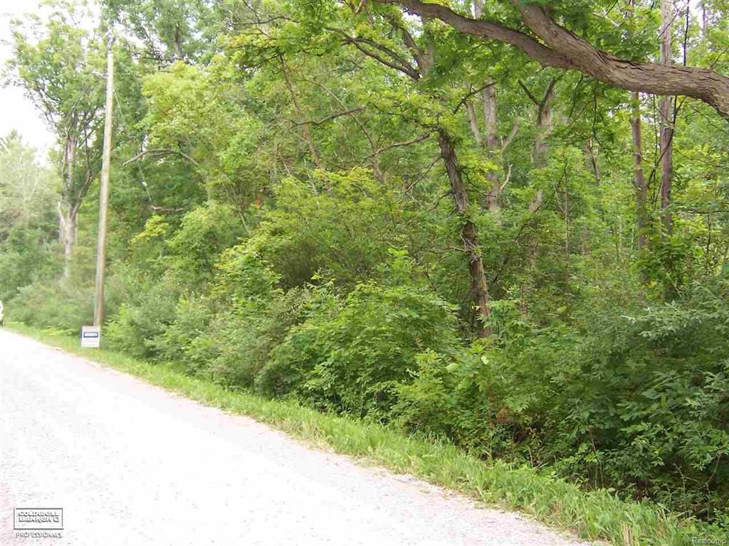 0 Barth Rd - Photo 1
