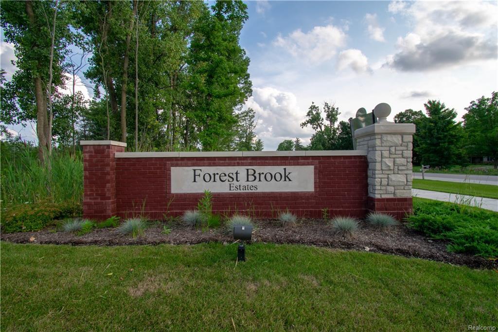 11901 Forest Brook Drive - Photo 1