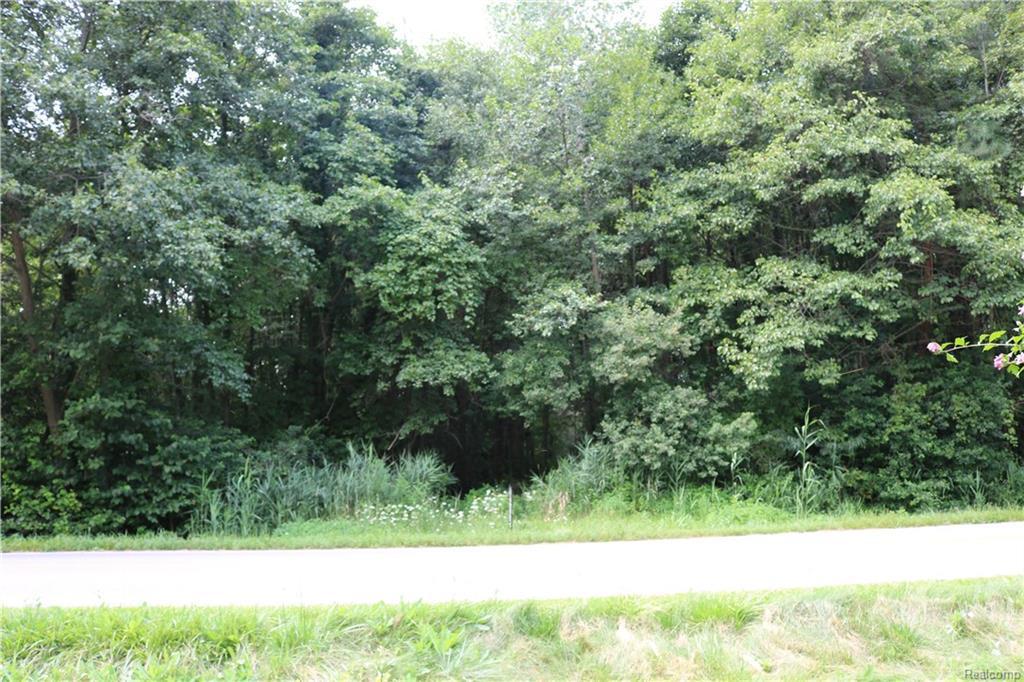 8954 Field Road - Photo 1