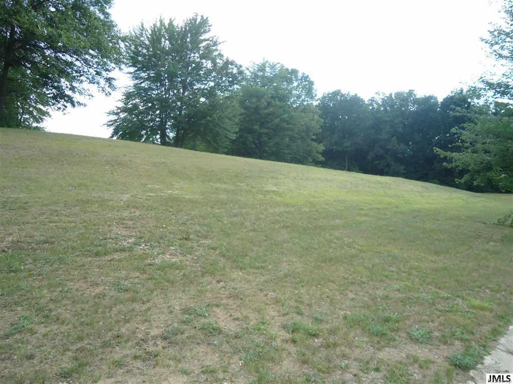 Scenic Hills Drive - Photo 1
