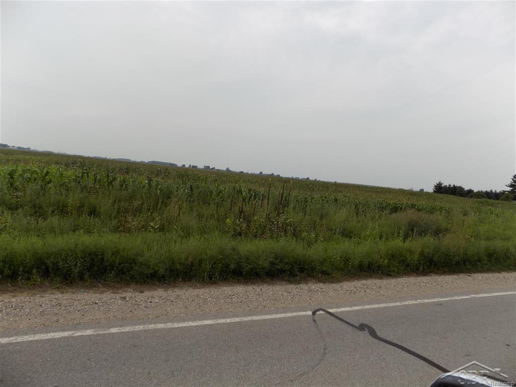 Vassar Rd. - Photo 1