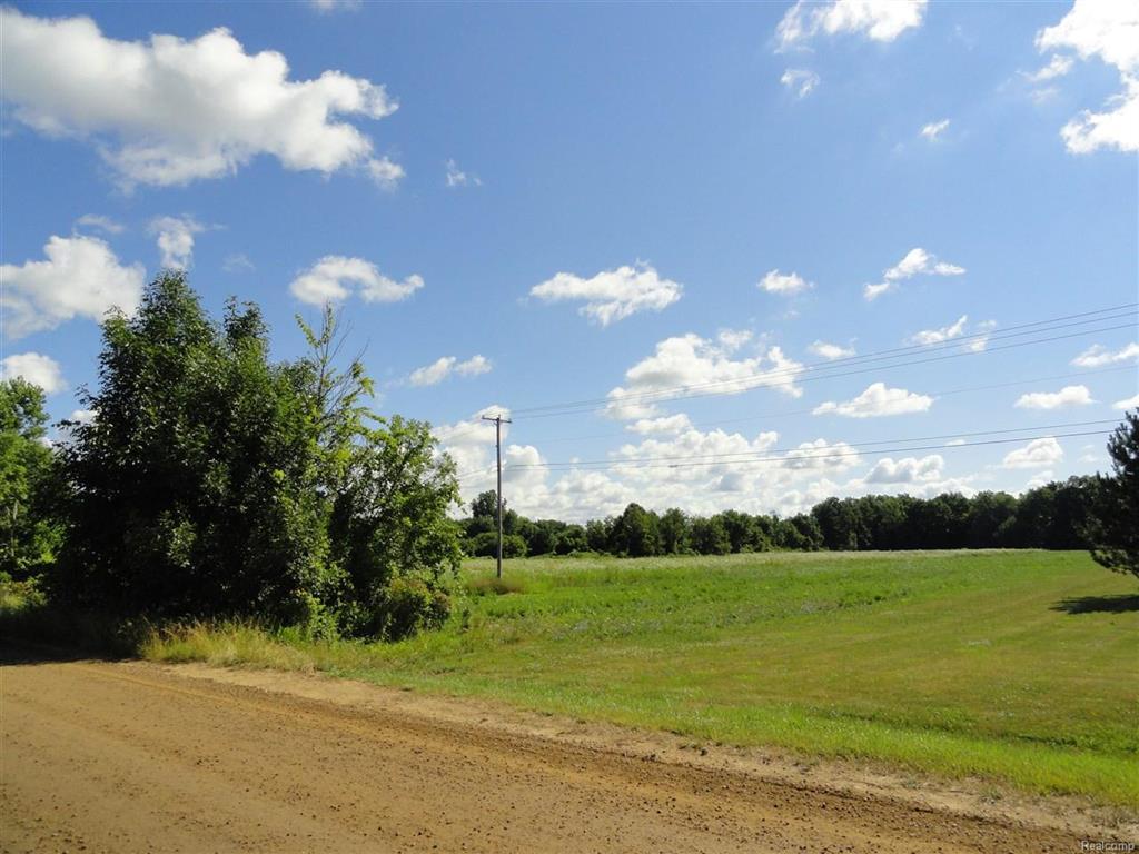 9385 Morrish - Photo 1