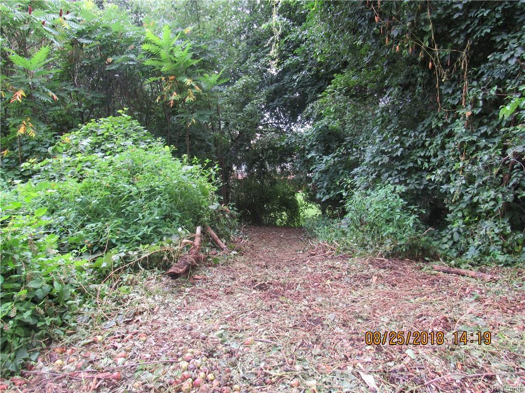 Vacant Bloomfield Street - Photo 1