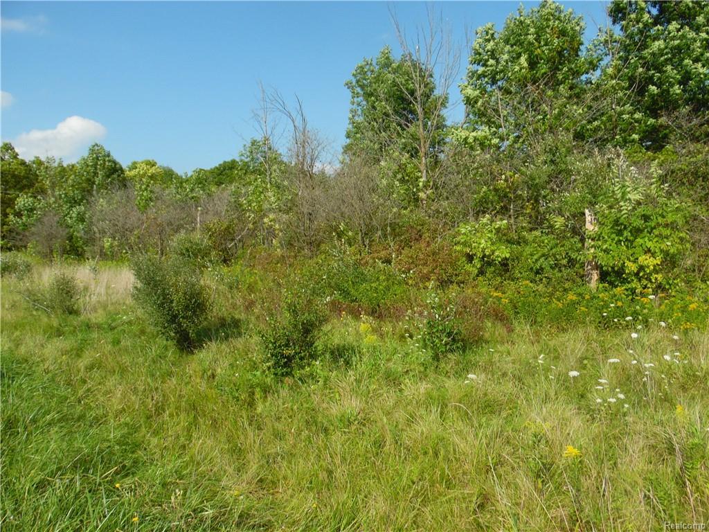 VL Van Vleet Road - Photo 1