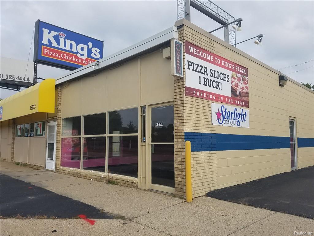 16279 Eleven Mile Rd - Photo 1
