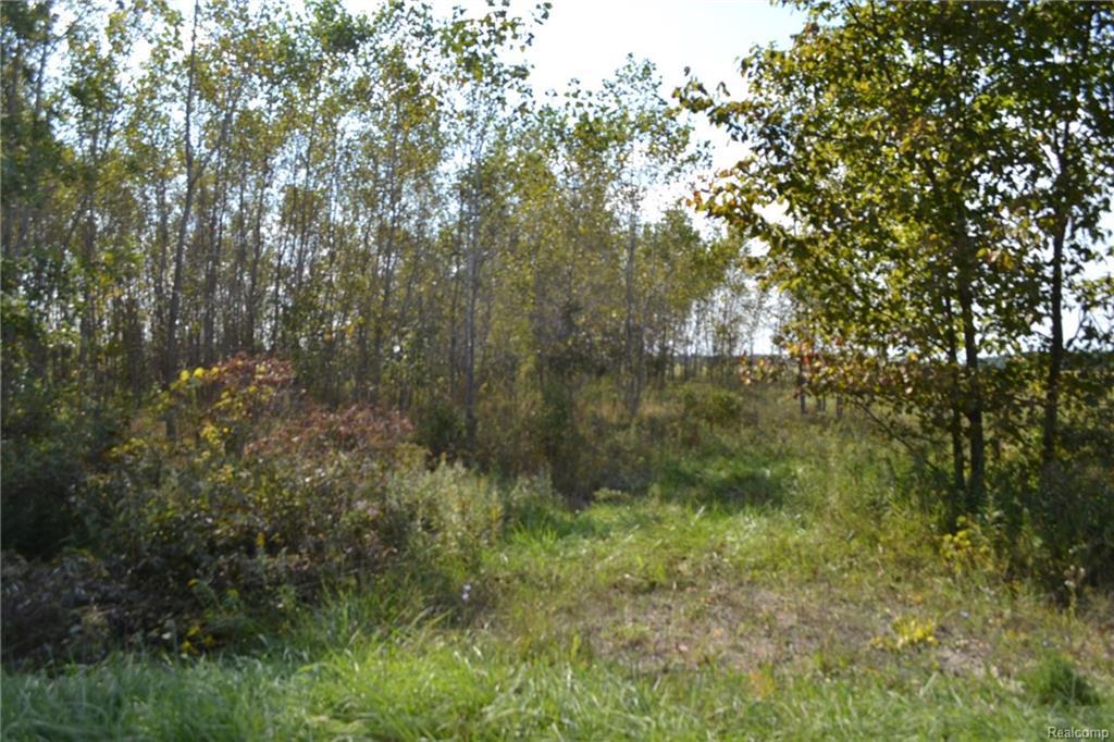 9400 Nichols Road - Photo 1
