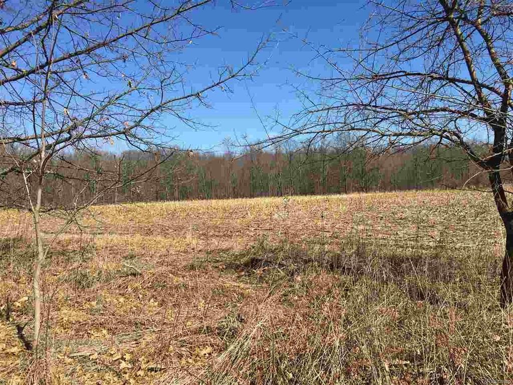 6266 Springport Rd - Photo 1