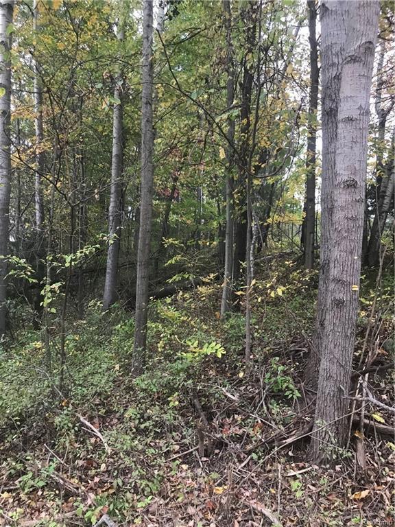 0 Belle River Road - Photo 1