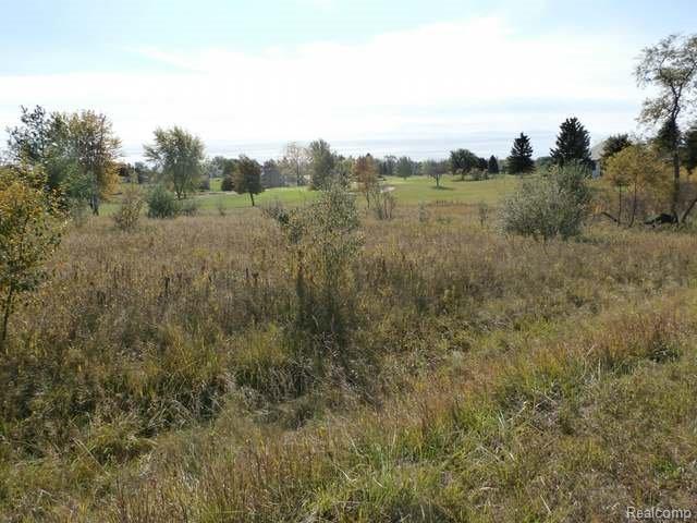 301 Track Iron Trail - Photo 1