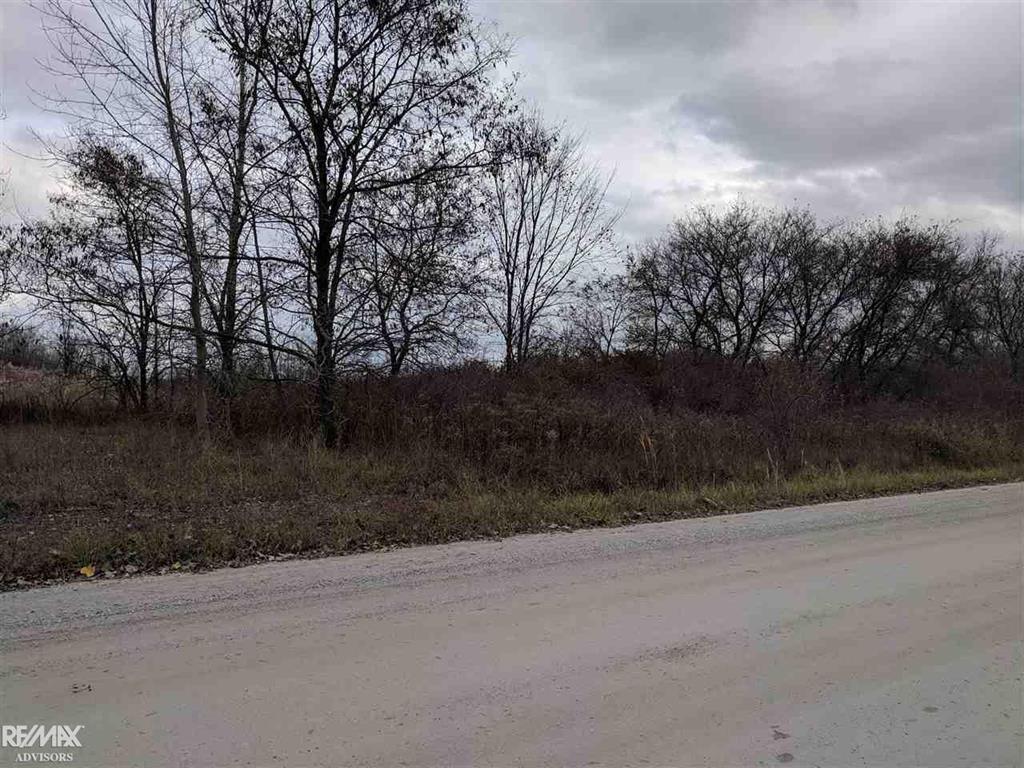 10060 Smiths Creek Rd - Photo 1