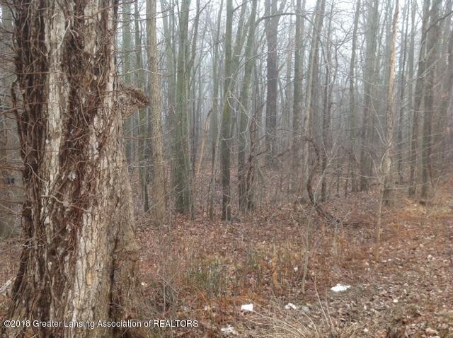 0 Dimondale Highway - Photo 1