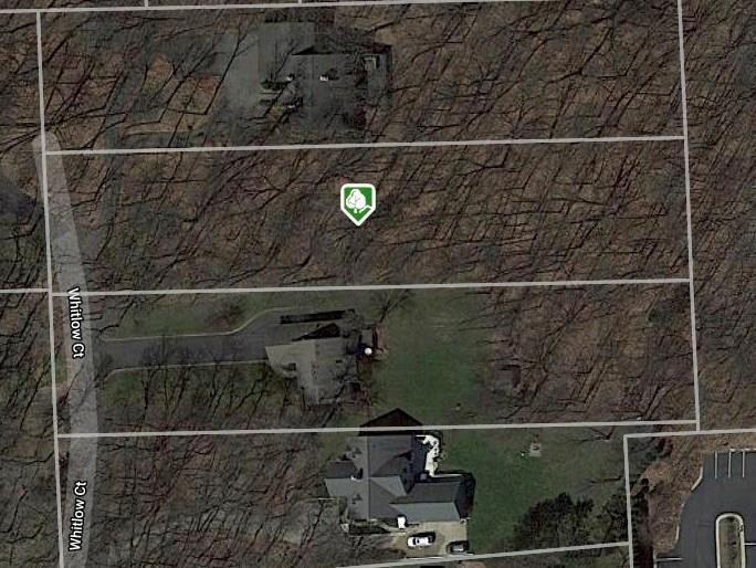 0000 Whitlow Court - Photo 1