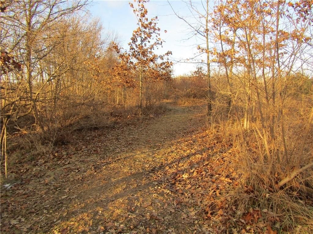 V/L Allen Road - Photo 1