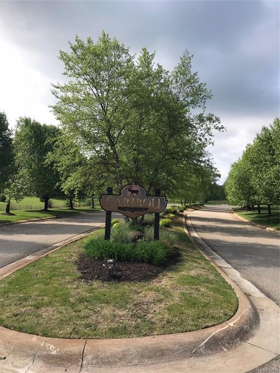 7469 Denali Drive - Photo 1