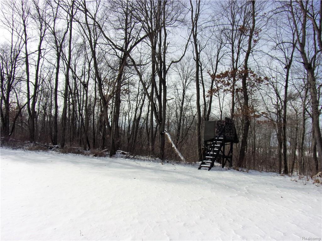 0 Braden Road - Photo 1