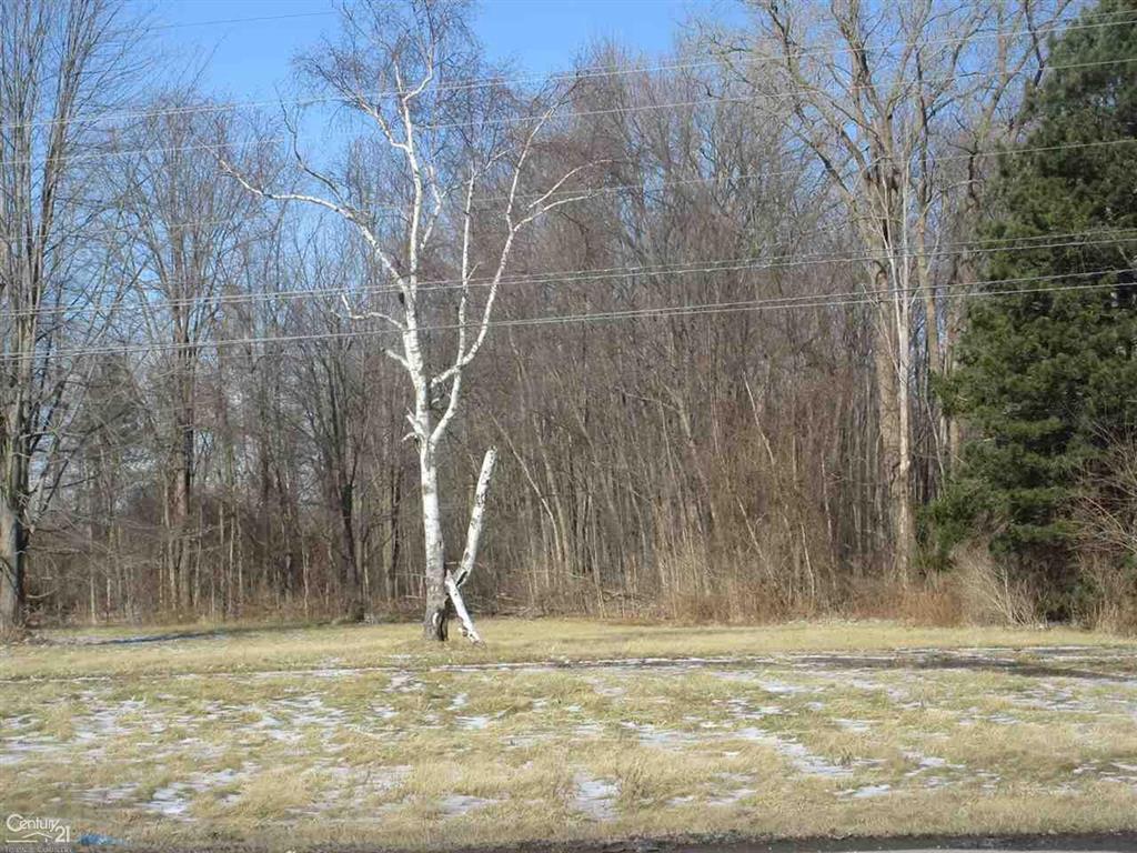 27873 21 MILE - Photo 1