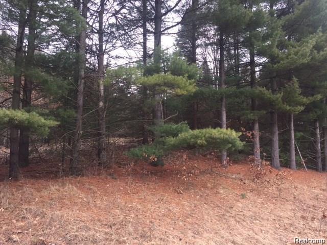 LOT 3 Spruce Hill Lane - Photo 1