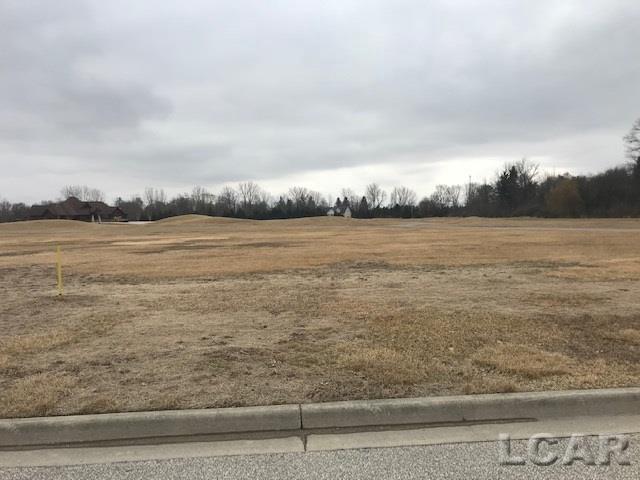 Whitehouse Ct Lot 13 - Photo 1