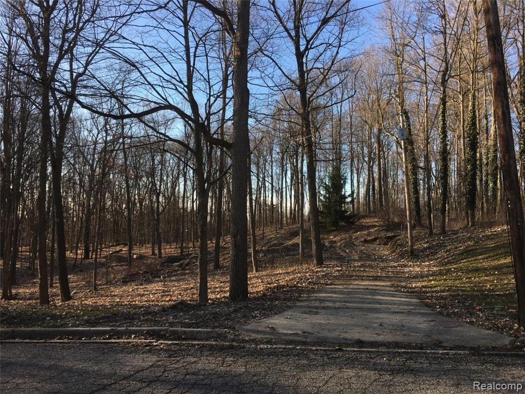 390 Maplewood Street - Photo 1