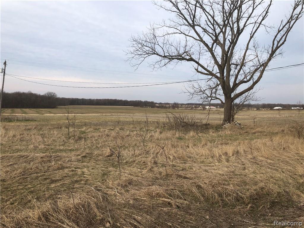 LOT D Goodall Road - Photo 1